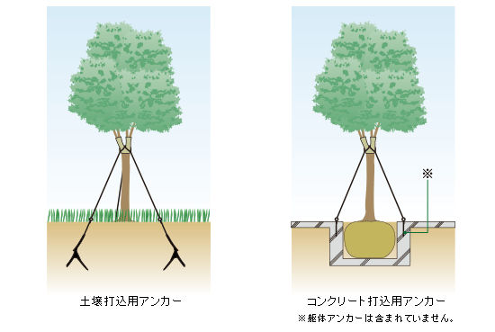 チコーワイヤー支柱